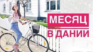 Первый месяц в Дании - мои впечатления.  Район, в котором мы живем. Как происходит адаптация?