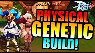 MY GENETIC PHYSICAL BUILD - RAGNAROK M CLASSIC