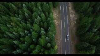 Car ride through forest | relaxing | top view |mind metrics |no audio