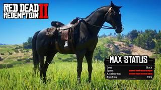 RDR2 - 6 Horses with the HIGHEST Stats