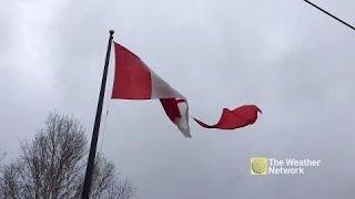 Large Canadian flag ripped by wind, listen to 'Canadian' response