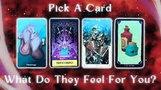 How They’re Currently Feeling About You Pick a Card Timeless In-Depth Love Tarot Reading