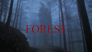 Finalblaze – Forest