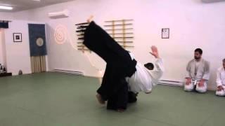 Donovan Waite Shihan : Tsuki Kotegaeshi Aikido