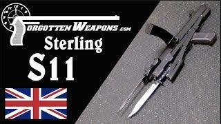 Sterling S11: Donkey in a Thoroughbred Race