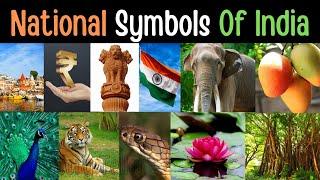 National Symbols of India |  National Symbols of India for Kids in English | India National Symbol