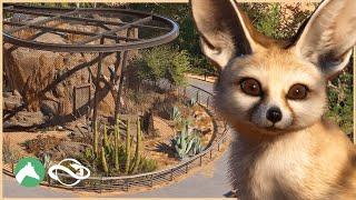 Building a FENNEC FOX Habitat in the Desert Adventure Park! | Planet Zoo