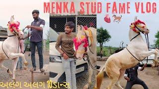  menka stud fame vlog 