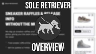 Sole Retriever Sneaker Raffle Entry Overview