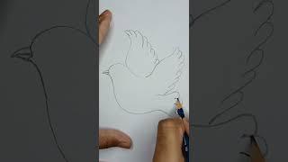 How to draw easy flying bird | Easy bird drawing #shorts