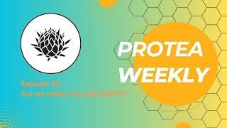 Protea Weekly - Episode 43 - Are we really into Q4 2024???