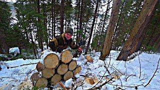 Заготовка дров в деревне. Готовим дрова в лесу.