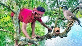 পাখির বাসা গুলো দেখার জন্য আজ বেরিয়ে পড়লাম,সুন্দরবন জঙ্গলে!!!