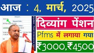 आज, 4, मार्च, 2025 दिव्यांग पेंशन का पैसा Pfms में लगाया गया | Divyang Pension | UP Viklang Pension