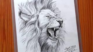 Drawing a Lion || Easy pencil sketch