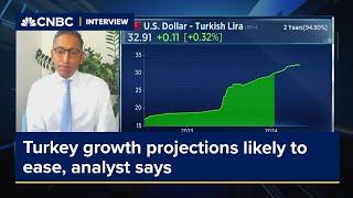 Turkey growth projections likely to ease, analyst says