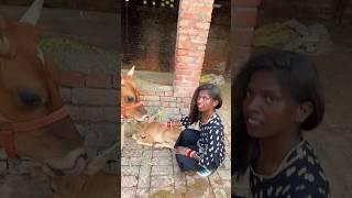 Raju Didi ️ animal love So beautiful Day With Parnaj Randhawa #Short