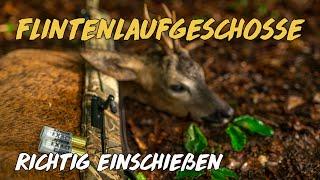 Geartester - Flintenlaufgeschosse Test - Teil 1