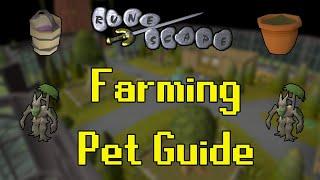 Old School RuneScape Farming Pet Guide (Fastest/Cheapest)