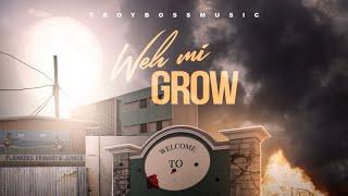 Chronic Law - Weh Mi Grow (Official Audio)