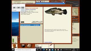 русская рыбалка 3.99 танзания мини квест Окунь танганьикский