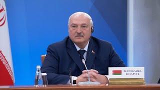 "А что у вас за проблема?" // Лукашенко и Пашинян устроили пикировку на саммите ЕАЭС!