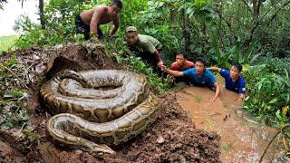 Giant Snake Suddenly Attack Group Brave Hunter