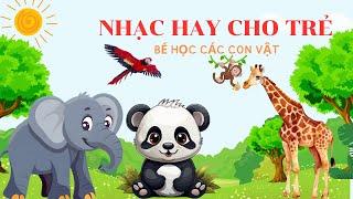 Nhạc Thiếu Nhi Vui Nhộn Sôi Động - Bé Cùng Vui Chơi Với Các Loài Vật Vui Nhộn - Bé Học Các Con Vật