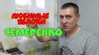 Любимые яблоки "Семеренко".