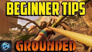 10 Tips For Beginners and Returning Players in Grounded!