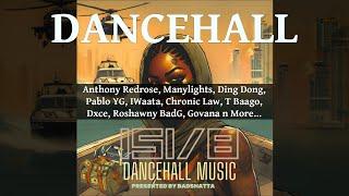 Dancehall Mix 2024 Ft Anthony Redrose, Manylights, Ding Dong, Pablo YG, IWaata (Preview)