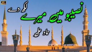 Naseebo Mein Mere Likh Dein | Hammad Ali | Rabi Ul Awal Special