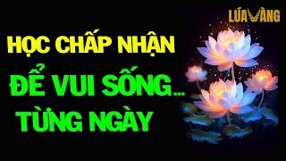 Học Cách Bình Thản Chấp Nhận Để Sống Vui Từng Ngày - Lúa Vàng