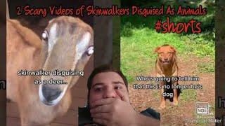 2 Scary Videos of Skinwalkers Disguised As Animals #shorts