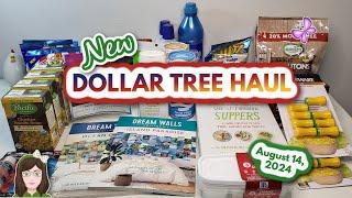 New Dollar Tree Haul! Awesome Finds!! August 14, 2024