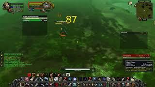 WoW Classic - Stone Guardian - Un'Goro Crater - Hunter solo kite