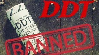 The Tragic Rise and Fall of DDT