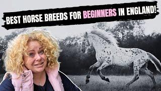 Top 5 Horse Breeds for Beginners and New Owners in England 2024!