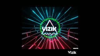 vizik