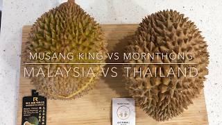 Durian Comparison Taste Test Mornthong vs Musang King