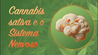 Cannabis sativa e o Sistema Nervoso | LIVE