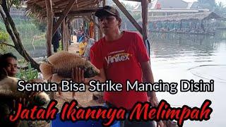 Mancing Disini Semua Orang Bisa Strike || Jatah Ikan Melimpah || Pemancingan Undui