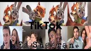 Photograph ed Sheeran tiktok trend #2023