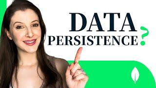 What is Data Persistence?