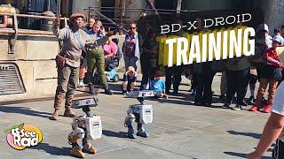 BD-X Droid Training - Galaxy's Edge Disneyland