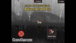 #arkon Alfa HT50 и лосиха в гону