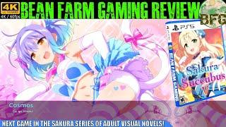 Sakura Succubus 5 Review (PS4 / PS5)