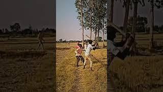 Bhai ka new video gangstar short video #gangstar #video