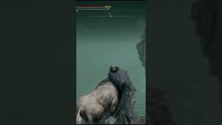 Boar got his revenge in Elden Ring: Shadow of the Erdtree DLC