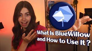 What Is BlueWillow and How to Use It